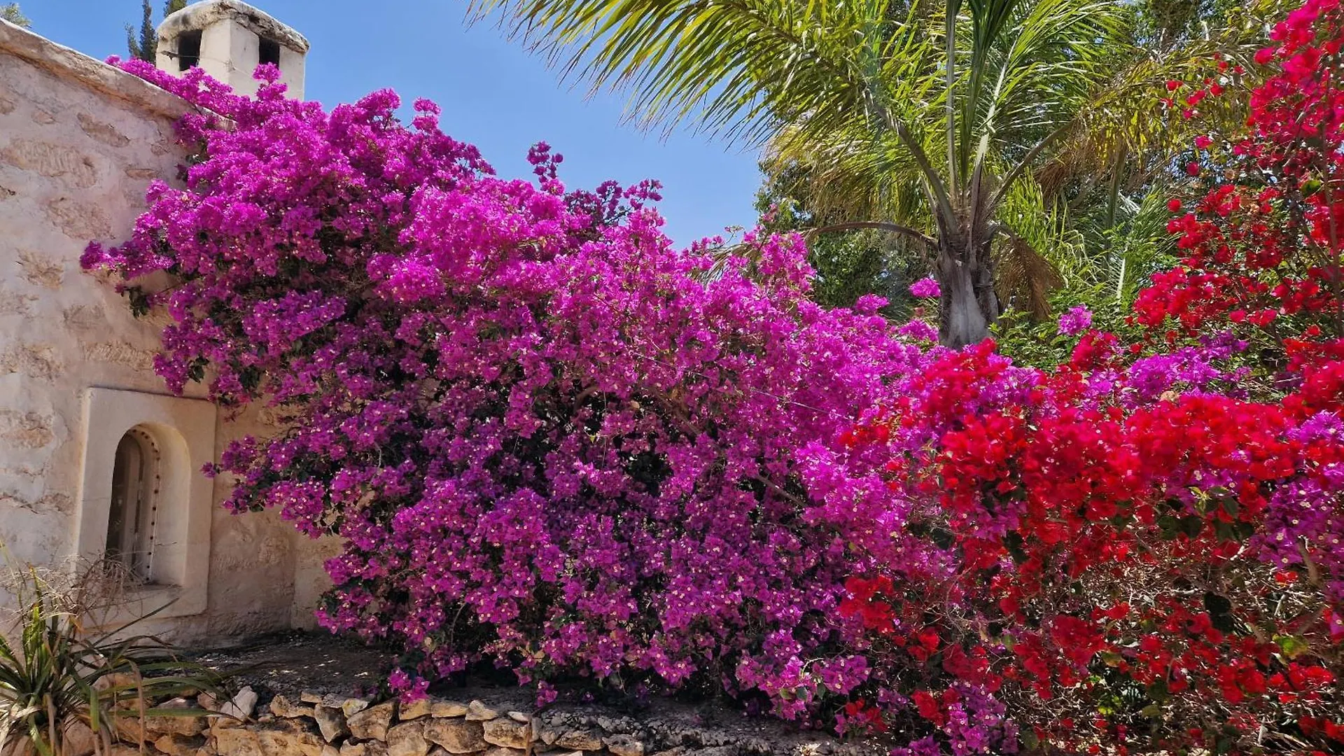 Villa Riad Pura Vida I Essaouira